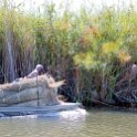 BWA_NW_OkavangoDelta_2016DEC02_Nguma_017.jpg
